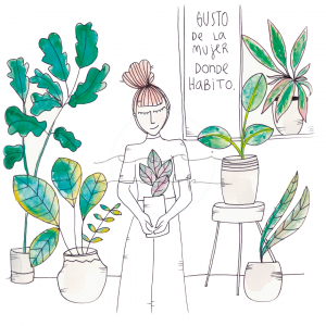Lámina ilustrada