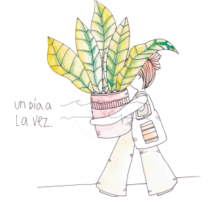 Lámina ilustrada