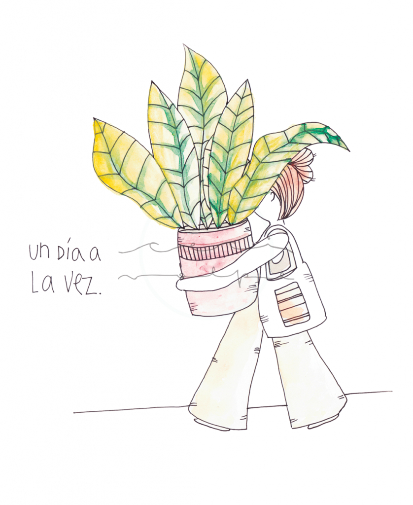 Lámina ilustrada