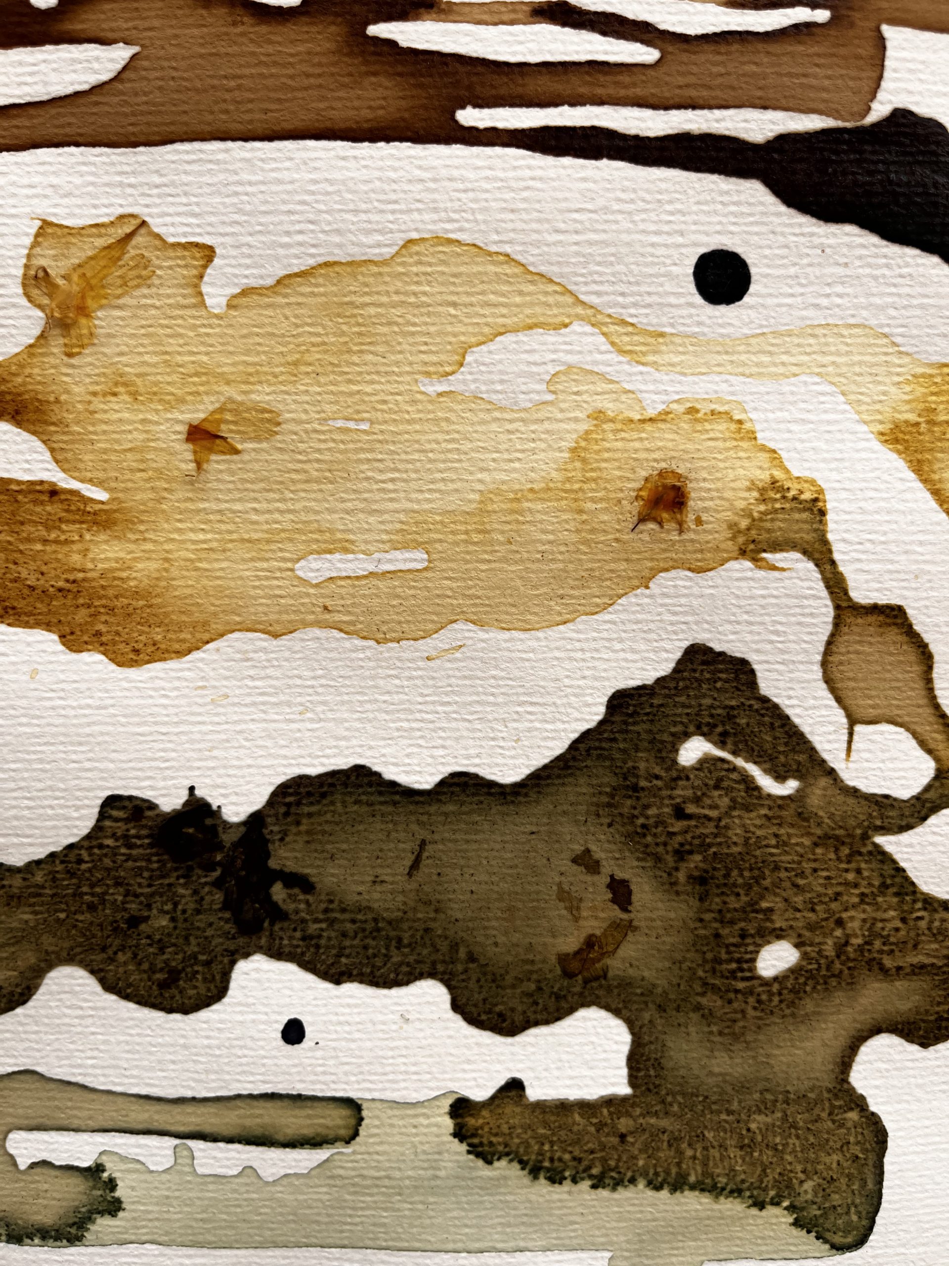 Experimentando con tintas caseras 1 - Imagen 4
