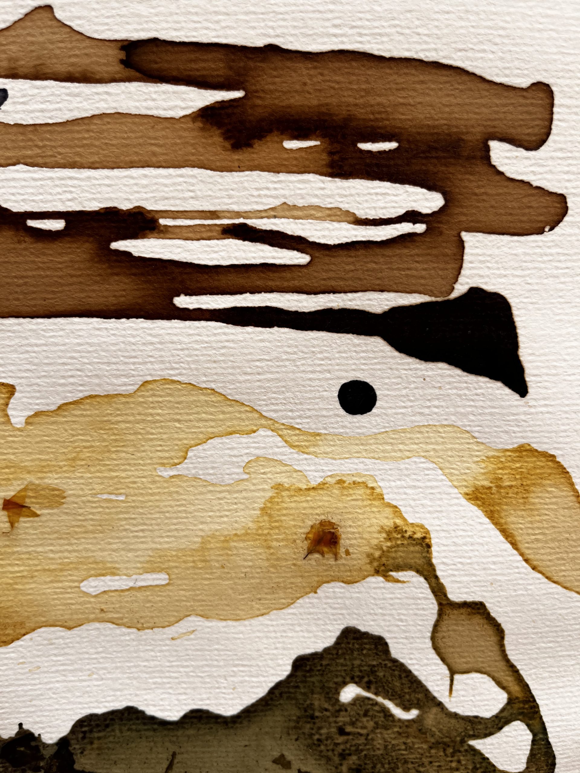 Experimentando con tintas caseras 1 - Imagen 5