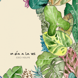 Libro Ilustrado